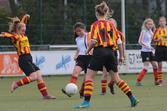 HBC Voetbal • <a style="font-size:0.8em;" href="http://www.flickr.com/photos/151401055@N04/44764299134/" target="_blank">View on Flickr</a>