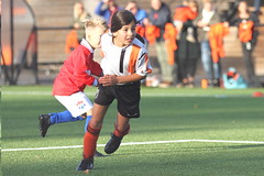 HBC Voetbal • <a style="font-size:0.8em;" href="http://www.flickr.com/photos/151401055@N04/30113116957/" target="_blank">View on Flickr</a>