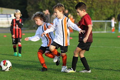 HBC Voetbal • <a style="font-size:0.8em;" href="http://www.flickr.com/photos/151401055@N04/30235359377/" target="_blank">View on Flickr</a>