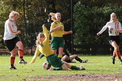 HBC Voetbal • <a style="font-size:0.8em;" href="http://www.flickr.com/photos/151401055@N04/44699669785/" target="_blank">View on Flickr</a>