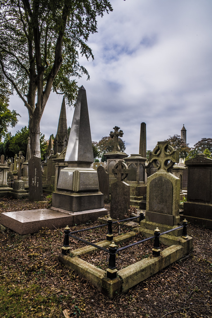SEPTEMBER 2018 VISIT TO GLASNEVIN CEMETERY [ I USED A BATIS 25mm LENS AND I EXPERIMENTED WITH CAPTURE ONE]-144834