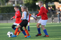 HBC Voetbal • <a style="font-size:0.8em;" href="http://www.flickr.com/photos/151401055@N04/30113134507/" target="_blank">View on Flickr</a>