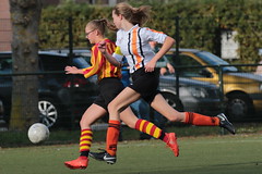 HBC Voetbal • <a style="font-size:0.8em;" href="http://www.flickr.com/photos/151401055@N04/31616140468/" target="_blank">View on Flickr</a>