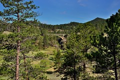 Beaver Creek Bridge Beyond Some Nearby Trees (Wind Cave National Park)