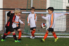 HBC Voetbal • <a style="font-size:0.8em;" href="http://www.flickr.com/photos/151401055@N04/30235360747/" target="_blank">View on Flickr</a>