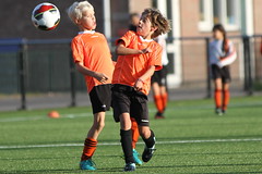 HBC Voetbal • <a style="font-size:0.8em;" href="http://www.flickr.com/photos/151401055@N04/31176103208/" target="_blank">View on Flickr</a>