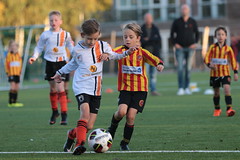 HBC Voetbal • <a style="font-size:0.8em;" href="http://www.flickr.com/photos/151401055@N04/44442459225/" target="_blank">View on Flickr</a>