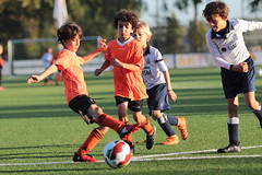 HBC Voetbal • <a style="font-size:0.8em;" href="http://www.flickr.com/photos/151401055@N04/43541145200/" target="_blank">View on Flickr</a>