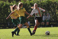 HBC Voetbal • <a style="font-size:0.8em;" href="http://www.flickr.com/photos/151401055@N04/43795851090/" target="_blank">View on Flickr</a>
