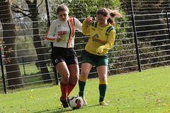 HBC Voetbal • <a style="font-size:0.8em;" href="http://www.flickr.com/photos/151401055@N04/43795853390/" target="_blank">View on Flickr</a>