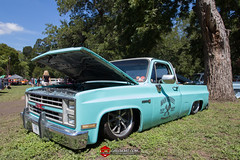 C10s in the Park-80