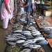 Trincomalee Fish Market