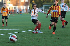 HBC Voetbal • <a style="font-size:0.8em;" href="http://www.flickr.com/photos/151401055@N04/44442466725/" target="_blank">View on Flickr</a>