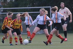 HBC Voetbal • <a style="font-size:0.8em;" href="http://www.flickr.com/photos/151401055@N04/31616165798/" target="_blank">View on Flickr</a>