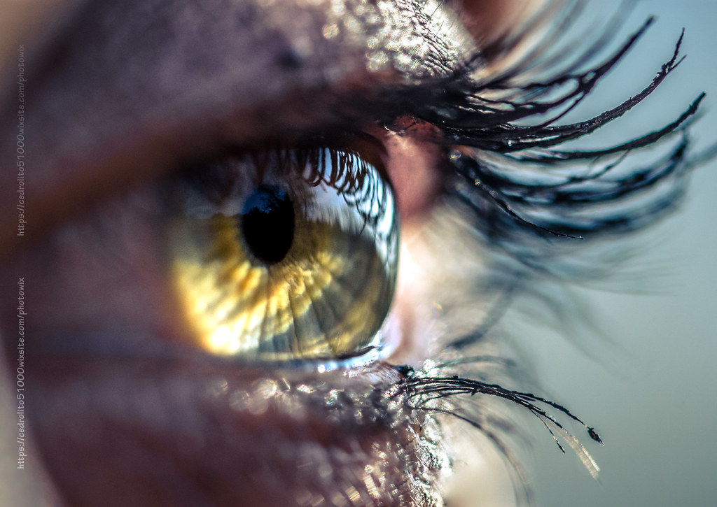 The World's Best Photos of oeil and pupille - Flickr Hive Mind