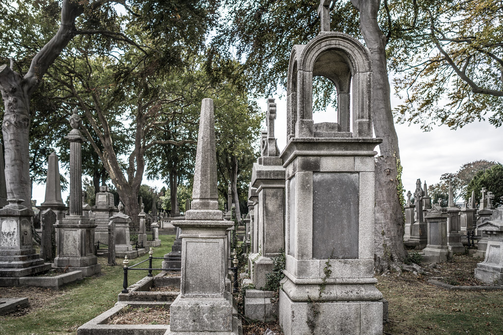 SEPTEMBER 2018 VISIT TO GLASNEVIN CEMETERY [ I USED A BATIS 25mm LENS AND I EXPERIMENTED WITH CAPTURE ONE]-144789