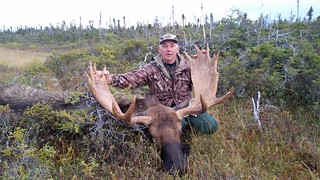 Newfoundland Caribou Hunt, Moose, Bear Hunting  10