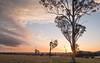 Lot 663, Olive HIll Drive, Cobbitty NSW
