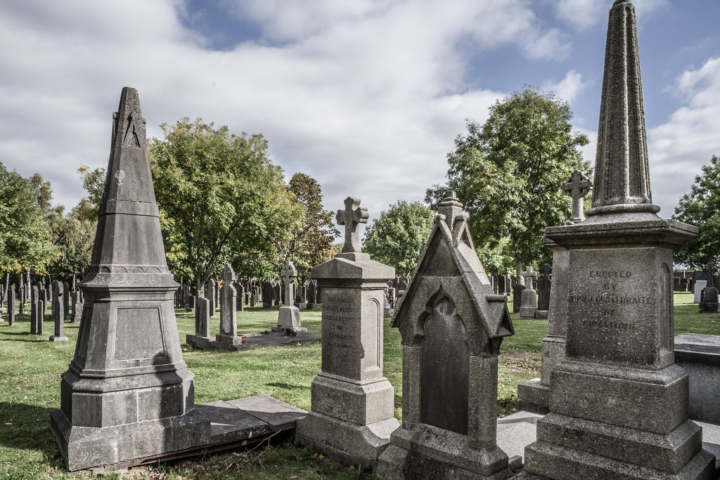 SEPTEMBER 2018 VISIT TO GLASNEVIN CEMETERY [ I USED A BATIS 25mm LENS AND I EXPERIMENTED WITH CAPTURE ONE]-144780