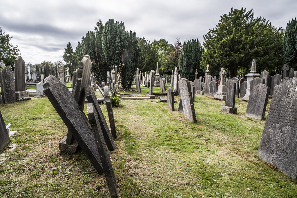 SEPTEMBER 2018 VISIT TO GLASNEVIN CEMETERY [ I USED A BATIS 25mm LENS AND I EXPERIMENTED WITH CAPTURE ONE]-144848