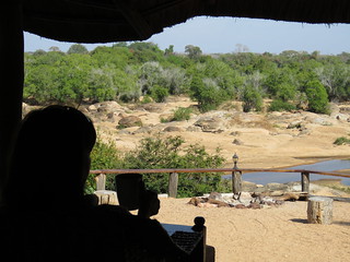 Mozambique Hunting Safari 49
