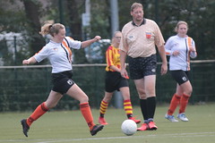 HBC Voetbal • <a style="font-size:0.8em;" href="http://www.flickr.com/photos/151401055@N04/31616163228/" target="_blank">View on Flickr</a>