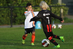 HBC Voetbal • <a style="font-size:0.8em;" href="http://www.flickr.com/photos/151401055@N04/30235368907/" target="_blank">View on Flickr</a>