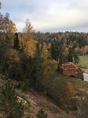 Gauja