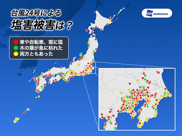台風24号による塩害被害東京西部や埼玉な...