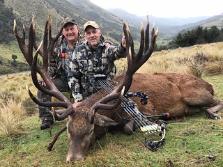 New Zealand Trophy Red Stag Hunting - Kaikoura 49