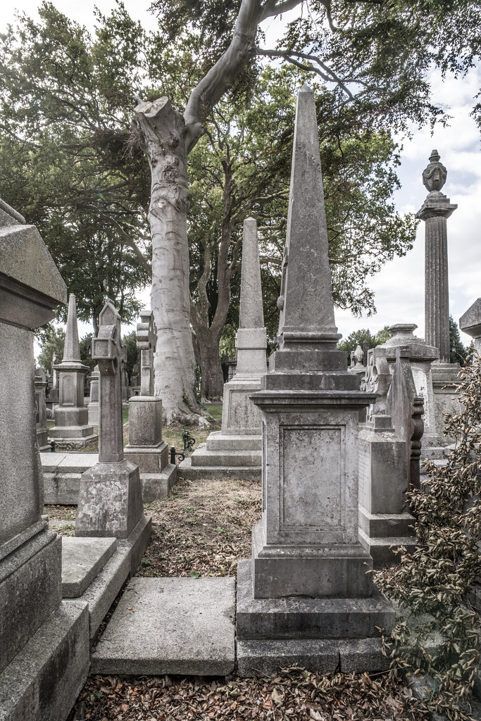 SEPTEMBER 2018 VISIT TO GLASNEVIN CEMETERY [ I USED A BATIS 25mm LENS AND I EXPERIMENTED WITH CAPTURE ONE]-144784