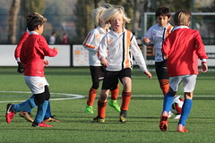 HBC Voetbal • <a style="font-size:0.8em;" href="http://www.flickr.com/photos/151401055@N04/31856332418/" target="_blank">View on Flickr</a>