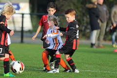 HBC Voetbal • <a style="font-size:0.8em;" href="http://www.flickr.com/photos/151401055@N04/44262681925/" target="_blank">View on Flickr</a>