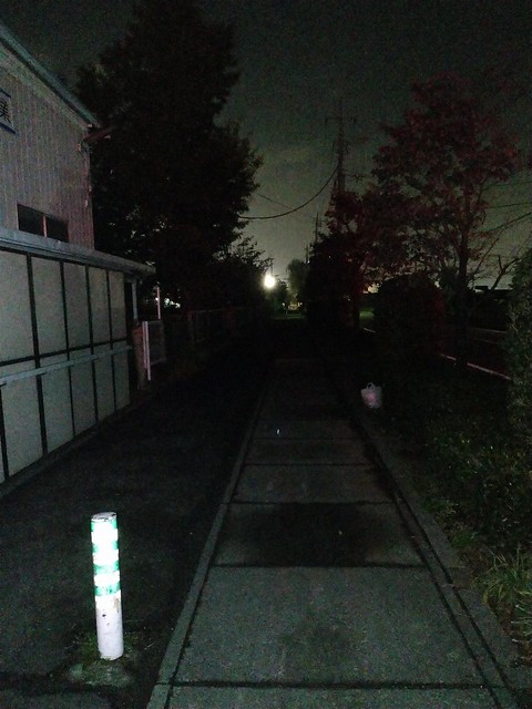 暗い道は怖い道。川柳小学校周りは夜は電灯...