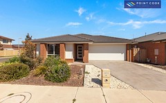 66 Seagrass Crescent, Point Cook VIC