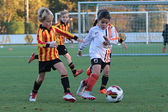 HBC Voetbal • <a style="font-size:0.8em;" href="http://www.flickr.com/photos/151401055@N04/45306022202/" target="_blank">View on Flickr</a>