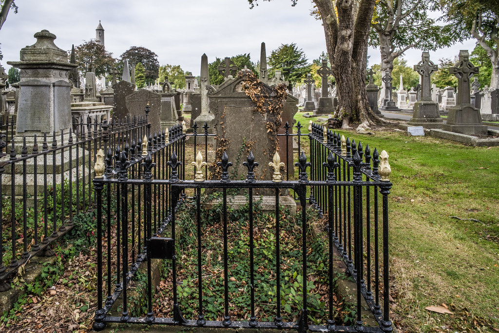 SEPTEMBER 2018 VISIT TO GLASNEVIN CEMETERY [ I USED A BATIS 25mm LENS AND I EXPERIMENTED WITH CAPTURE ONE]-144816