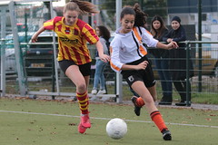 HBC Voetbal • <a style="font-size:0.8em;" href="http://www.flickr.com/photos/151401055@N04/30549365877/" target="_blank">View on Flickr</a>