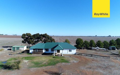 331 Calarie Rd, Forbes NSW 2871