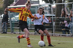 HBC Voetbal • <a style="font-size:0.8em;" href="http://www.flickr.com/photos/151401055@N04/31616147988/" target="_blank">View on Flickr</a>
