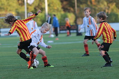 HBC Voetbal • <a style="font-size:0.8em;" href="http://www.flickr.com/photos/151401055@N04/44442457165/" target="_blank">View on Flickr</a>