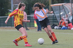 HBC Voetbal • <a style="font-size:0.8em;" href="http://www.flickr.com/photos/151401055@N04/30549363377/" target="_blank">View on Flickr</a>