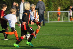 HBC Voetbal • <a style="font-size:0.8em;" href="http://www.flickr.com/photos/151401055@N04/31300371218/" target="_blank">View on Flickr</a>