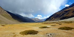 High Zanskar Valley, just after the descent from Pensi La pass