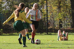 HBC Voetbal • <a style="font-size:0.8em;" href="http://www.flickr.com/photos/151401055@N04/43795852330/" target="_blank">View on Flickr</a>