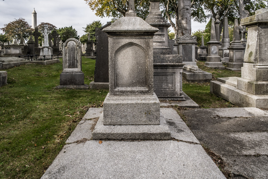 SEPTEMBER 2018 VISIT TO GLASNEVIN CEMETERY [ I USED A BATIS 25mm LENS AND I EXPERIMENTED WITH CAPTURE ONE]-144811