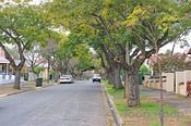 65 Vine Street, Prospect SA