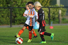 HBC Voetbal • <a style="font-size:0.8em;" href="http://www.flickr.com/photos/151401055@N04/31300362008/" target="_blank">View on Flickr</a>