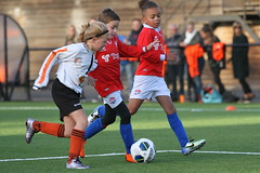 HBC Voetbal • <a style="font-size:0.8em;" href="http://www.flickr.com/photos/151401055@N04/30113133017/" target="_blank">View on Flickr</a>