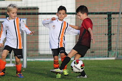 HBC Voetbal • <a style="font-size:0.8em;" href="http://www.flickr.com/photos/151401055@N04/44262676855/" target="_blank">View on Flickr</a>